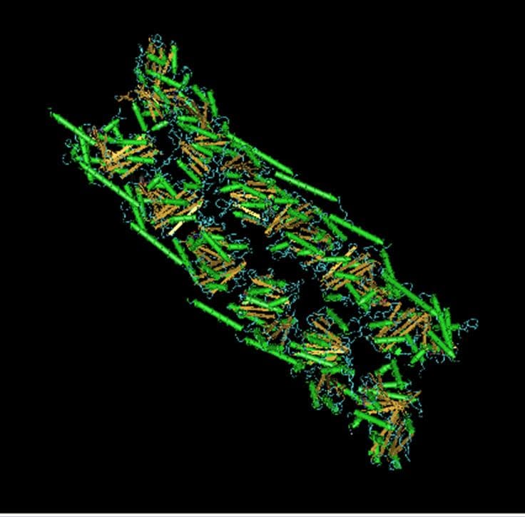 Figure 1. Structure of parallel FtsZ filaments.