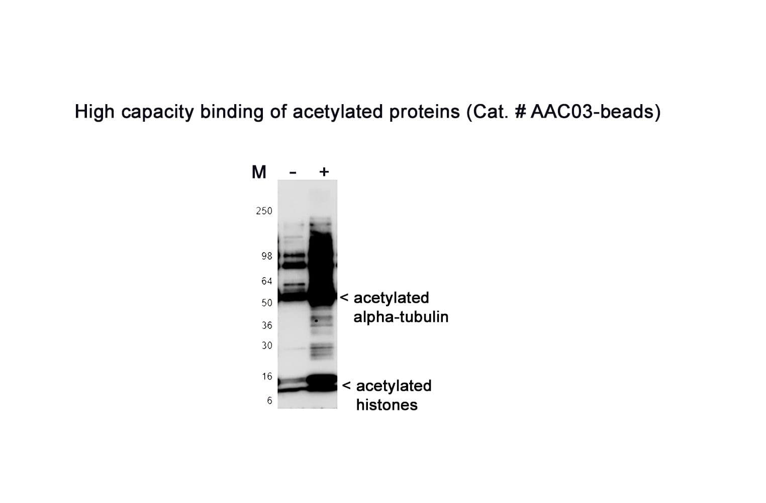 product-AAC03-beads-2