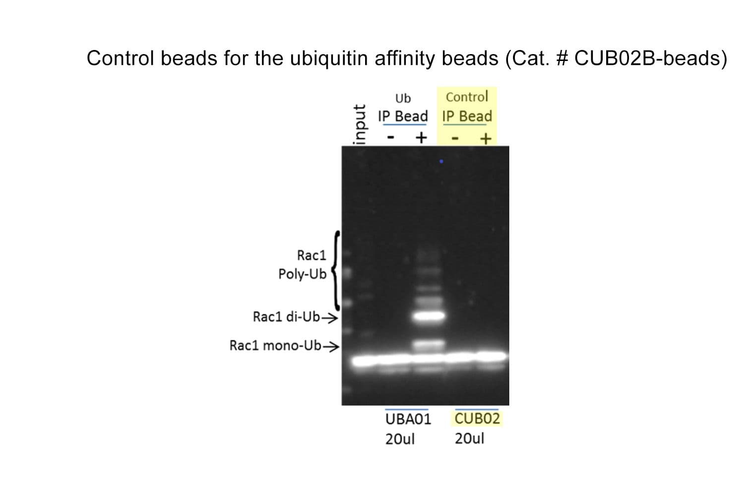 product-CUB02B-beads