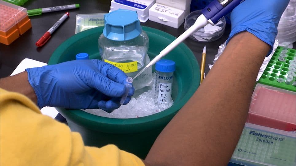 Cytoskeleton Thumbnail