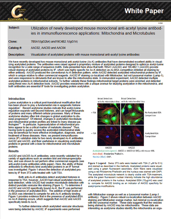 Cytoskeleton Image