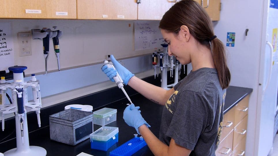 Cytoskeleton Thumbnail