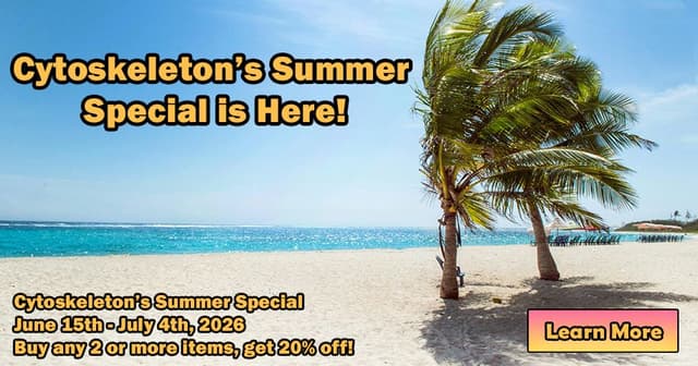 Summer Special 2026