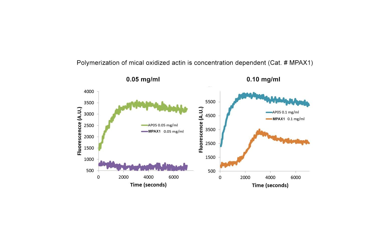 Mical oxidized actin polymerization MPAX1
