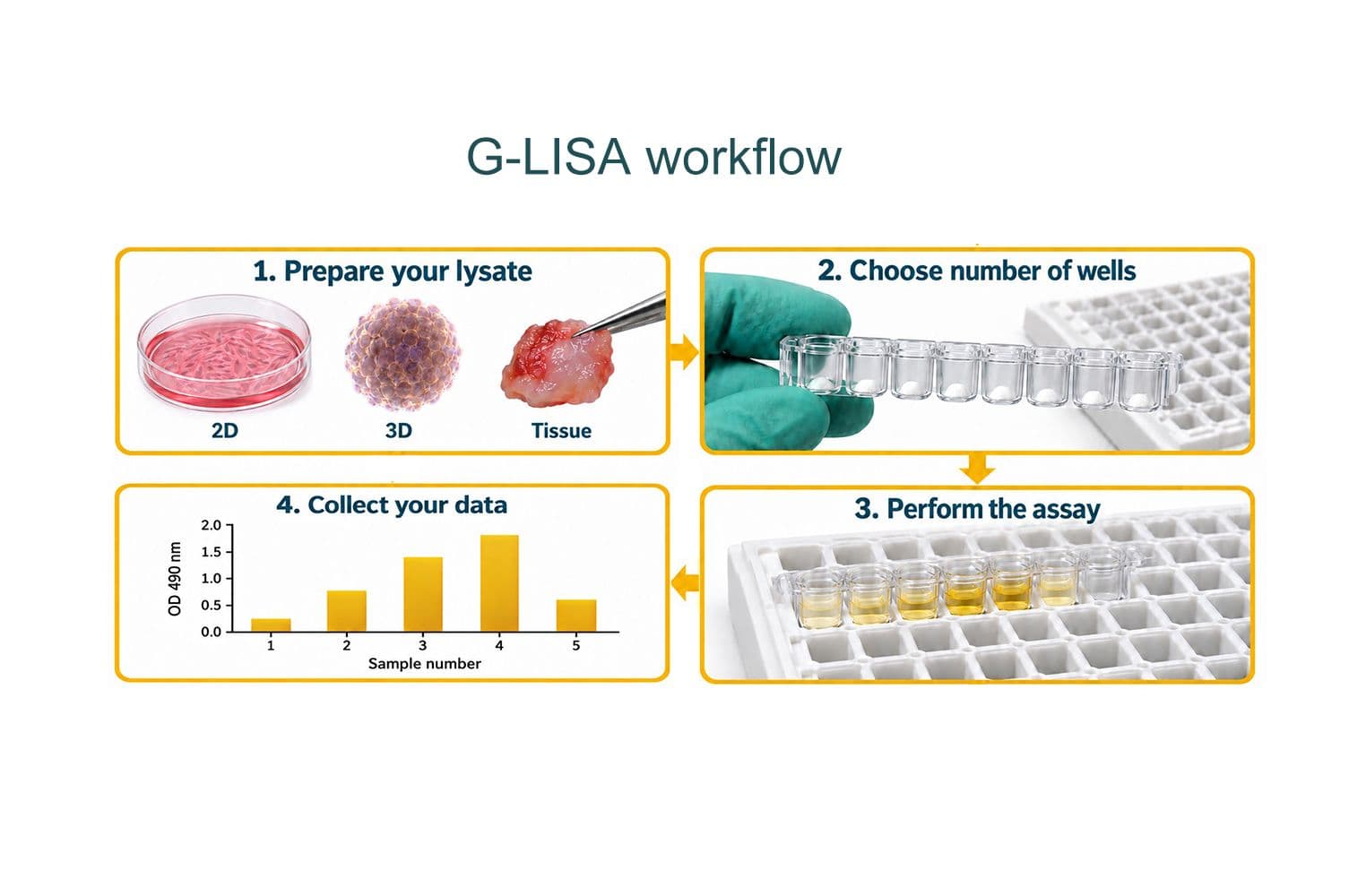G-LISA Flow Chart Process Principle