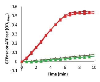 Figure 4. Measurement of Enterococcus faecalis FtsZ protein FTPase activity