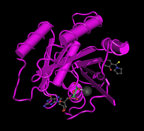 Cytoskeleton Image