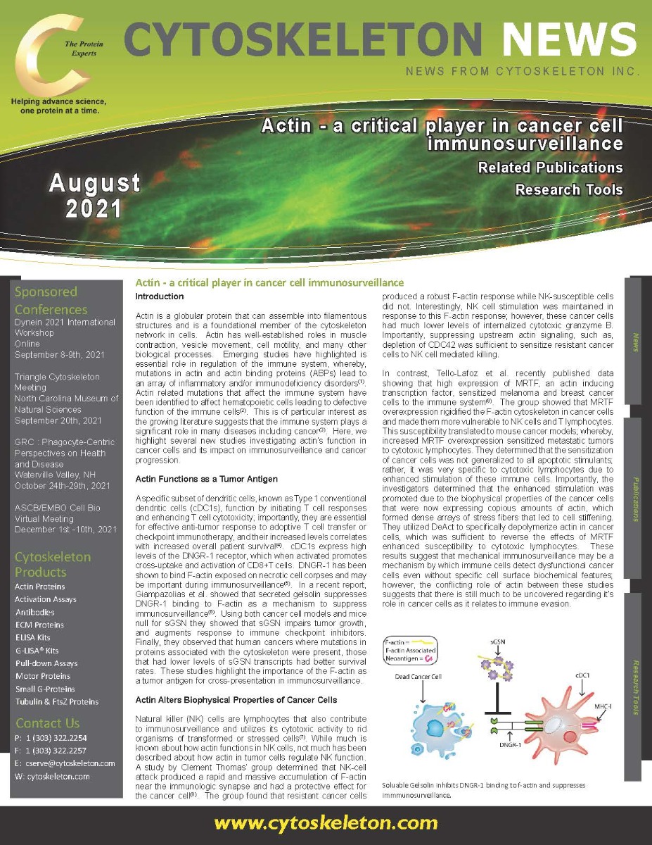 August_Newsletter_-_Actin_Page_1