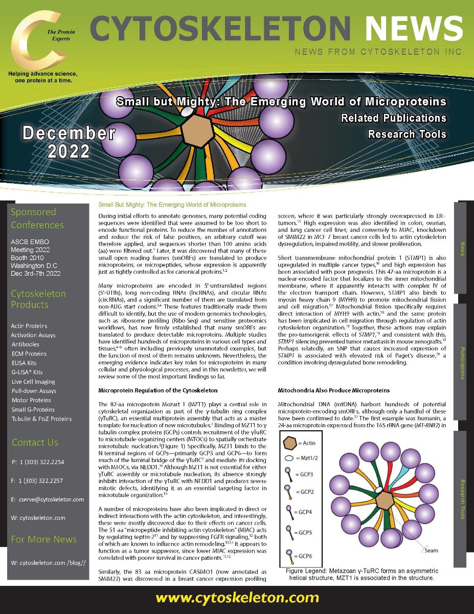 December_Newsletter_-_Microproteins_v3_Page_1