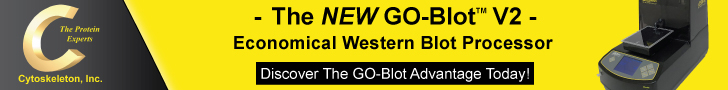 GO-Blot-V2-banner-option-1-v4-728_1
