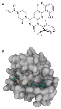 Figure Legend: A) Chemical structure for AMG510. B) AMG510 bound to KRASG12C (10.2210/pdb6OIM/pdb)