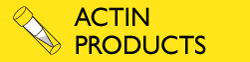 Click to browse actin products