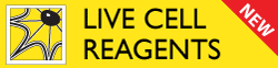live-cell-reagents-yellow